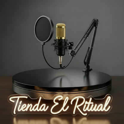 MICROFONO CONDENSADOR PROFESIONAL